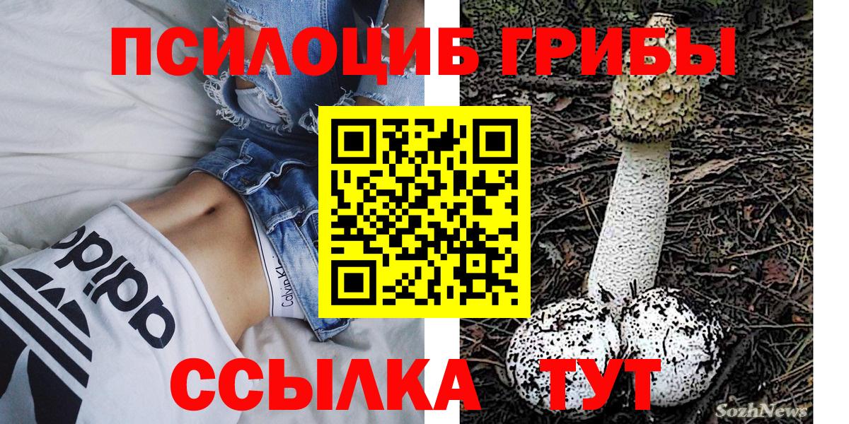 Камышлов  Галлюциногенные грибы прущие грибы  где найти   Вход с VPN  Псилоцибиновые грибы MAGIC MUSHROOMS 